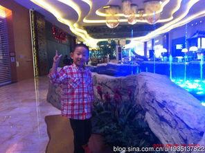 澳门国产午夜小视频,一场视觉与情感的盛宴