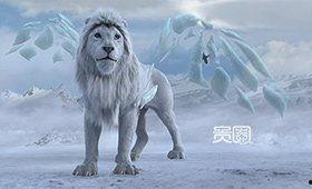 国产视频  人与动物,国产视频中的人与动物情感纽带