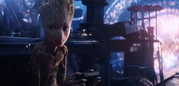 国产电影女巫吃虫子视频,女巫吞噬虫虫的恐怖之夜