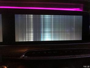 国产导航花屏维修视频,国产导航花屏故障排查与维修技巧解析