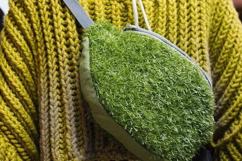 国产青草青青在线视频,探寻自然之美与生态和谐