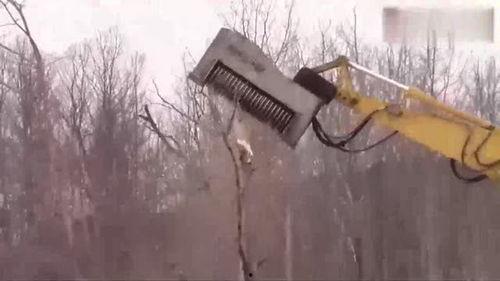 国产砍树机器视频,高效便捷的林业革新利器