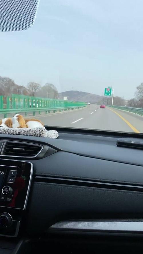 国产家用车试驾视频,性能与舒适度的完美融合