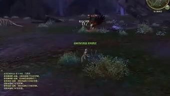 狩猎国产结局视频播放网站,揭秘热门视频网站幕后故事