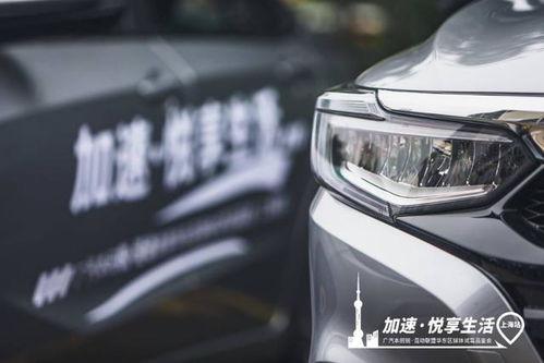 国产奥力给试驾视频