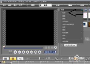 国产视频转绘,创意与技术的完美融合