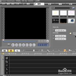 国产视频转绘,创意与技术的完美融合