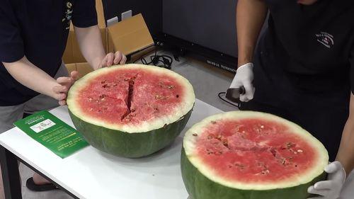 韩国产西瓜视频,韩国热门短视频平台解析