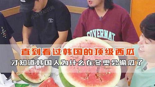 韩国产西瓜视频,韩国热门短视频平台解析