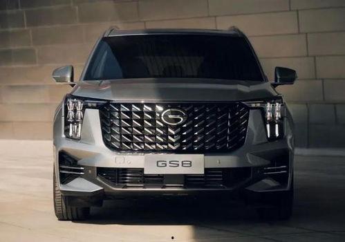 车展国产车火爆视频,民族品牌闪耀全场