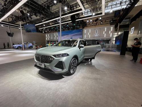 车展国产车火爆视频,民族品牌闪耀全场