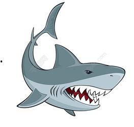 国产鲨鱼测评网站大全视频,视频解析与评测汇总  第3张